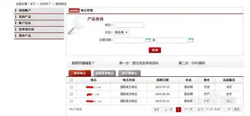 注册网站的域名指什么内容，注册网站的域名，解析其定义、作用与重要性