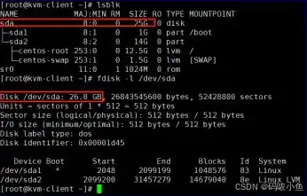 kvm vmware 性能，KVM与VMware虚拟机性能调优策略与实战解析