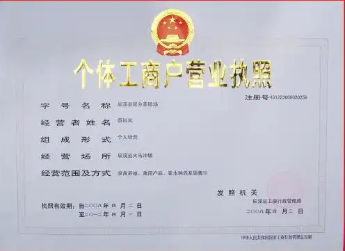 域名注册需要提供营业执照吗为什么不能注册，域名注册为何需要提供营业执照，揭秘营业执照在域名注册中的重要性