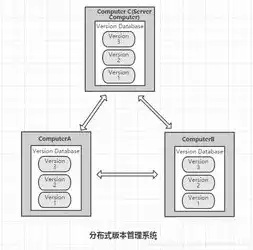 分布式存储和集中式存储区别，分布式存储与集中式存储，技术差异与应用场景分析