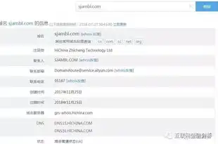 域名注册信息有哪些内容呢英文，What Information is Included in a Domain Registration?