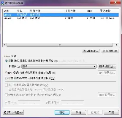 vm虚拟机nat连不上网，深入解析VMware虚拟机NAT联网问题及解决方案