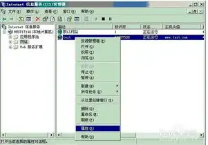 vps独立ip，深度解析，VPS独立IP的优势与选择指南，让你的服务器如虎添翼！