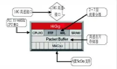 服务器属于什么系统类型，深入解析不同类型服务器系统，性能、特点与应用领域