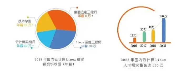 日本云服务器工程师工资，日本云服务器工程师薪资解析，高薪背后的职业机遇与挑战