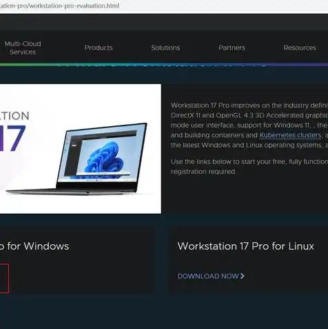 vmware虚拟机安装教程win10带许可证，VMware虚拟机安装教程，Win10系统配置及许可证激活全攻略