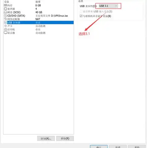 虚拟机挂载usb设备失败，虚拟机挂载USB设备失败，原因排查与解决方法全解析