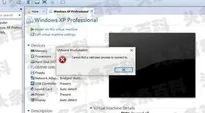 vmware虚拟机与主机共享网络连接不上，深入解析VMware虚拟机与主机共享网络连接问题及解决方案