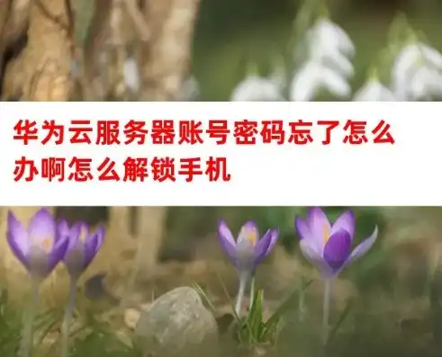 华为云服务密码找回怎么找，华为云服务密码找回攻略，全方位解析找回密码的步骤与技巧