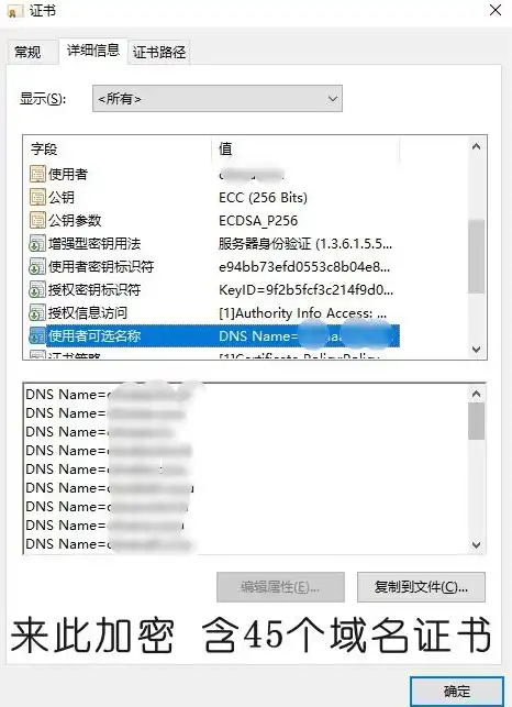 国内有免费注册的域名吗是真的吗安全吗，揭秘国内免费注册域名的真相，是真是假？安全吗？