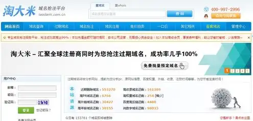 域名注册免费服务网站有哪些平台，揭秘免费域名注册服务，盘点国内外的优秀平台及注意事项