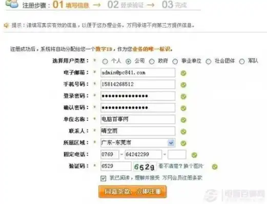 万网注册域名注册，万网注册域名全攻略，如何填写手机号码，轻松开启域名注册之旅