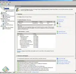 windows的服务器管理器里面有本地服务器吗，深入解析Windows服务器管理器中的本地服务器，功能、操作与优化