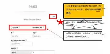 注册域名后怎么用，注册域名后如何上传系统信息，详尽指南与实操步骤