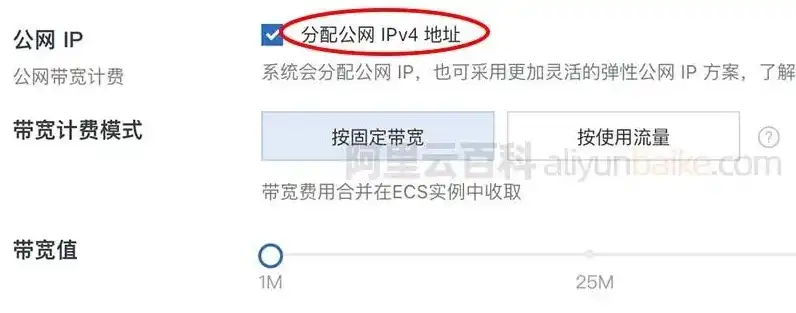 阿里云专有网络公网ip，阿里云服务器获取公网IP的详细指南及操作步骤解析