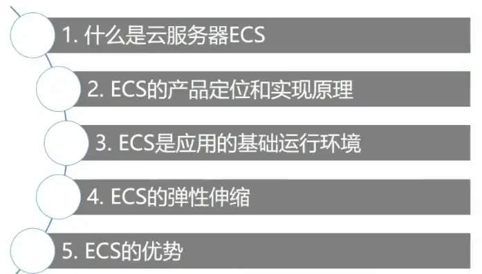 云服务器ecs属于云计算saas哪一层级的服务，云服务器ECS，深入解析其在云计算SaaS层级中的定位与服务特点