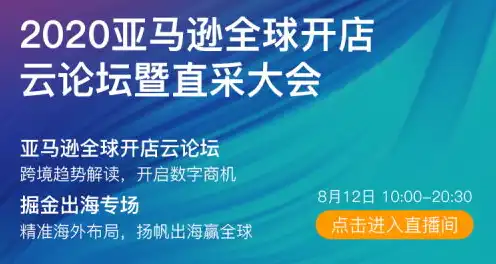 亚马逊店铺用什么云服务器好一点，亚马逊店铺运营指南，选择最适合的云服务器，提升店铺性能与效率！